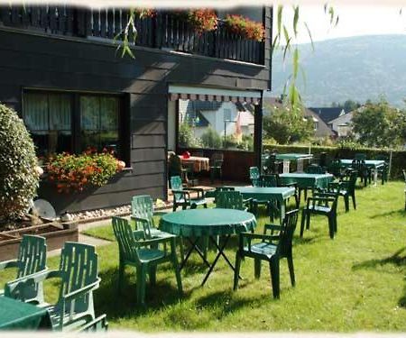 Gasthof Zur Roemervilla Mehring (Rhineland-Palatinate) Exterior photo